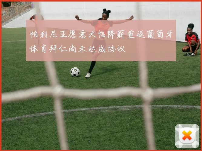 帕利尼亚愿意大幅降薪重返葡萄牙体育拜仁尚未达成协议