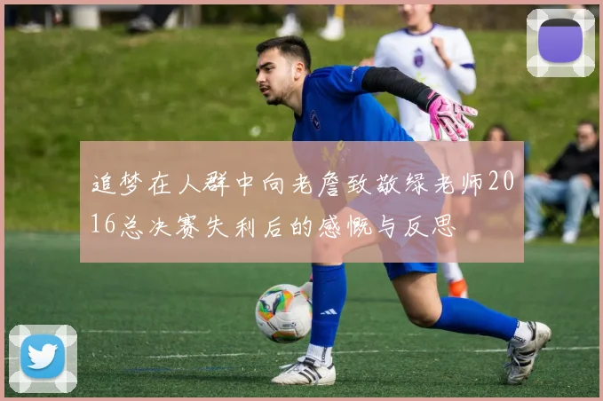 追梦在人群中向老詹致敬绿老师2016总决赛失利后的感慨与反思